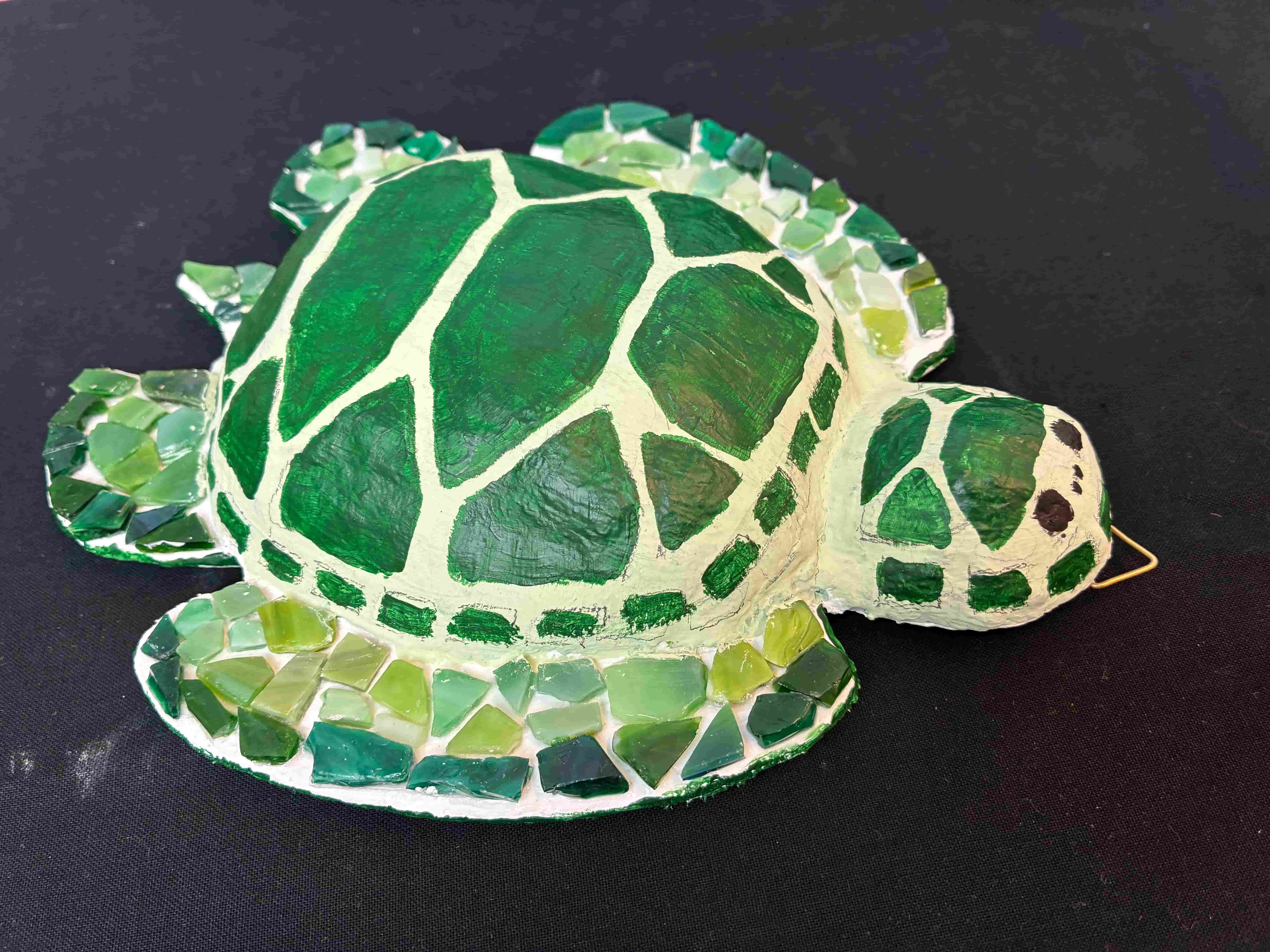 en grønn og hvit skilpadde